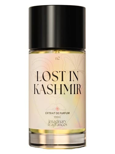 Lost In Kashmir - گمشده در کشمیر