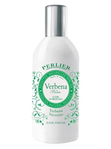 Verbena di Siena