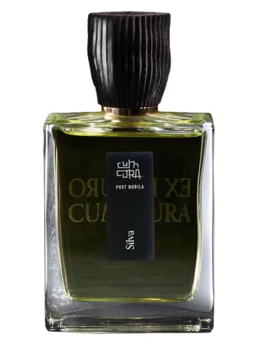 Silva - سیلوا