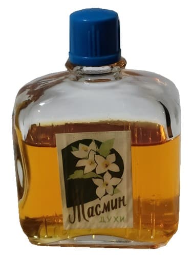 Жасмин