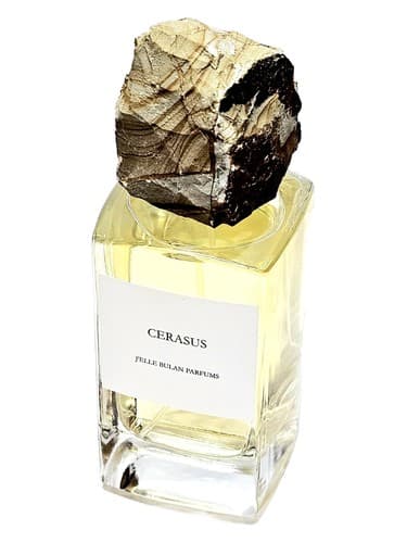 Cerasus - سراسوس