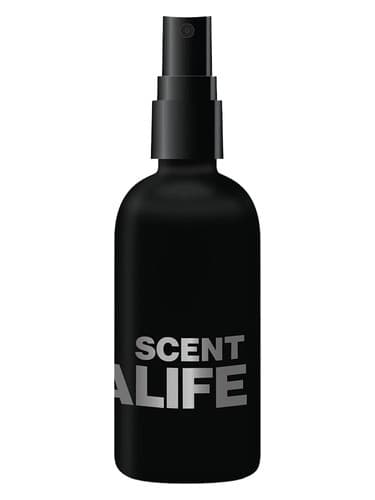SCENT - رایحه