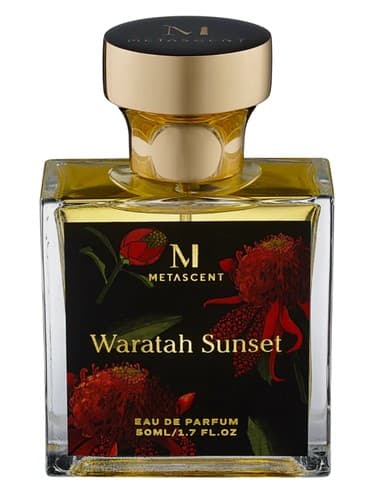 Waratah Sunset - غروب واراته