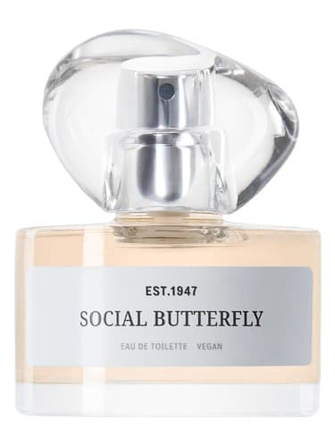 Social Butterfly - پروانه اجتماعی