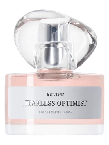 Fearless Optimist - خوشبین بی باک