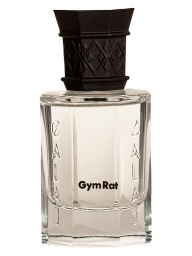 Gym Rat - موش بدنسازی