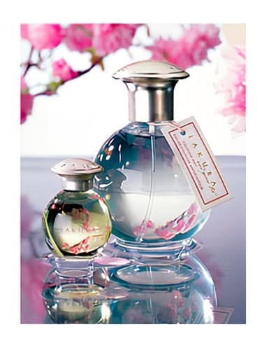 Sakura and Green Tea - ساکورا و تی گرین