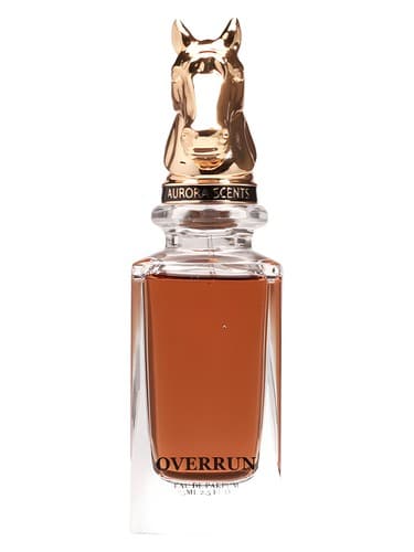 Overrun - بیش از حد