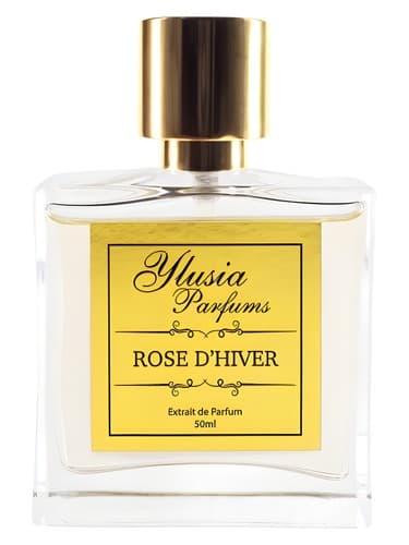 Rose d'Hiver - رز دهایور