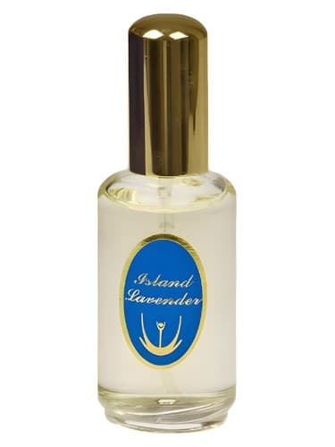 Island Lavender - اسطوخودوس جزیره