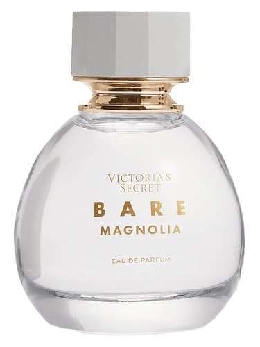 Bare Magnolia