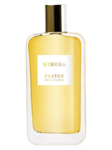 Mimosa - میموزا