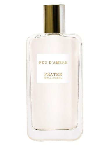 Feu D'Ambre - فیو دامبر