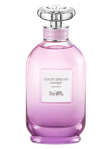 Coach Dreams Moonlight - مربی رویای مهتاب