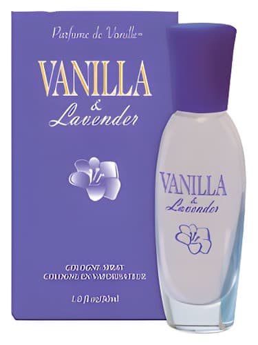 Vanilla & Lavender - وانیلا و اسطوخودوس