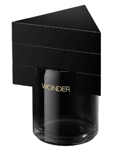 Wonder 羁旅归途 - شگفت انگیز 羁旅归途