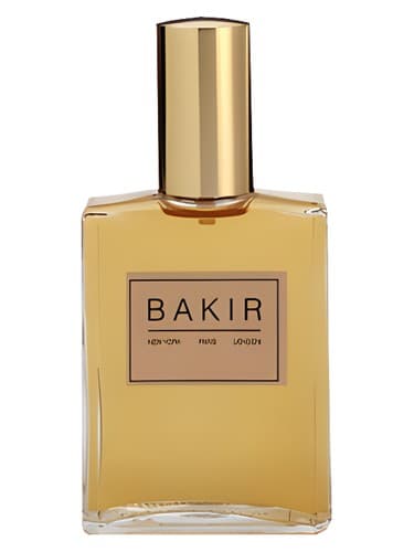 Bakir - بکیر