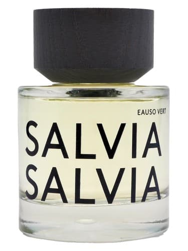 Salvia Salvia - مریم گلی