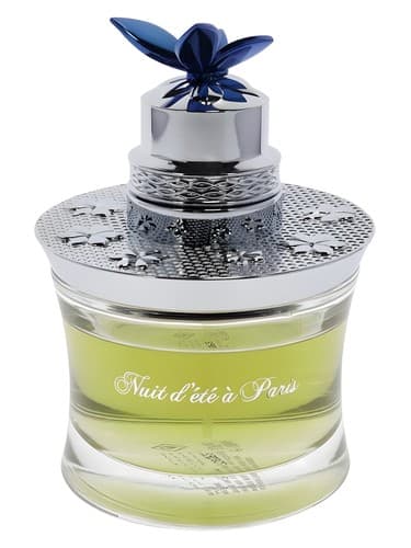 Nuit d-Été à Paris