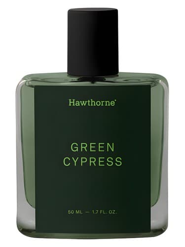 Green Cypress - سرو گرین