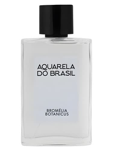 Bromélia Botanicus - بروملیا بوتانیکوس