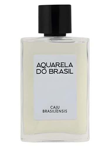 Caju Brasiliensis 