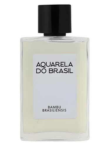 Bambu Brasiliensis - بامبو برازیلینسیس