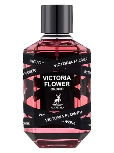 Victoria Flower Orchid - ارکیده گل ویکتوریا