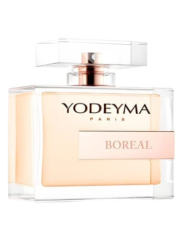 Boreal - شمالی
