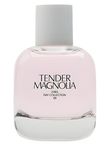 Tender Magnolia