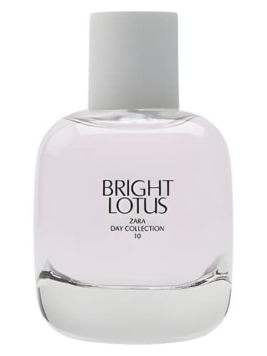 Bright Lotus