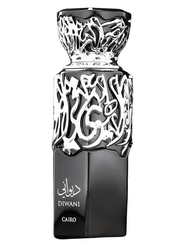 Diwani Cairo - دیوانی قاهره