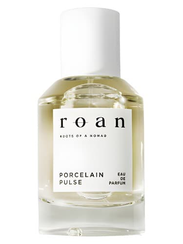Porcelain Pulse - نبض چینی