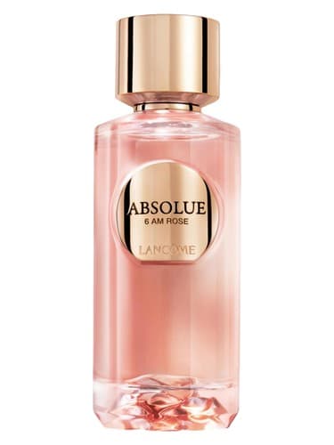Absolue 6AM Rose - رز مطلق 6 صبح