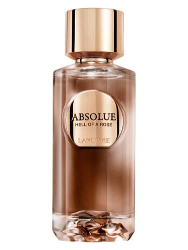 Absolue Hell Of A Rose - جهنم مطلق از گل رز