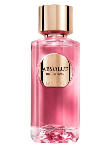 Absolue Hot As Rose - داغ مطلق به عنوان رز