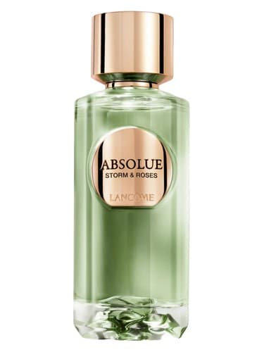 Absolue Storm & Roses - طوفان مطلق و گل رز