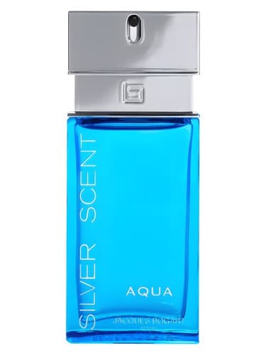 Silver Scent Aqua - رایحه سیلور آکوا