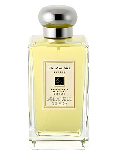 Honeysuckle & Jasmine