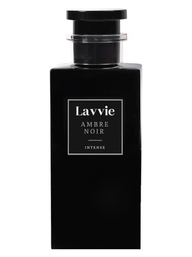AMBRE NOIR - آمبره نویر