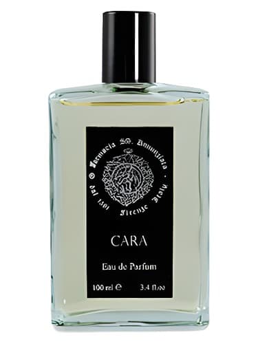 Cara - کارا