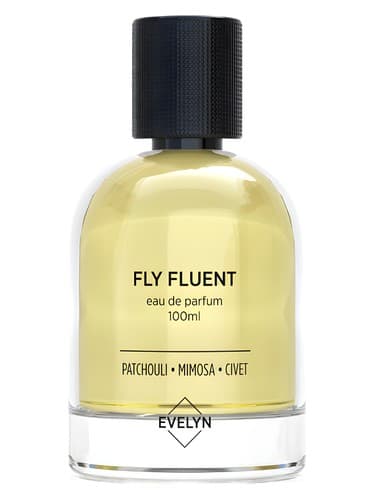 Fly Fluent 