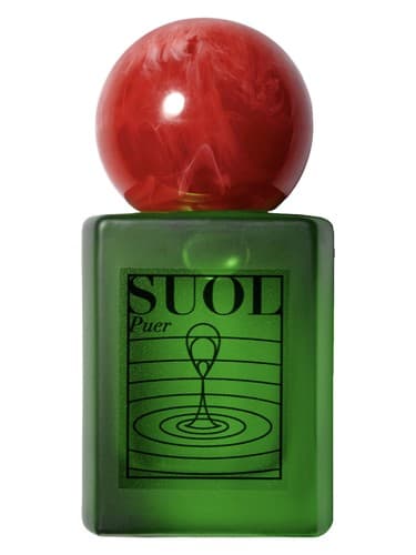 Puer - پوئر