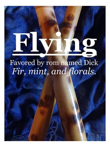 Flying - پرواز کردن