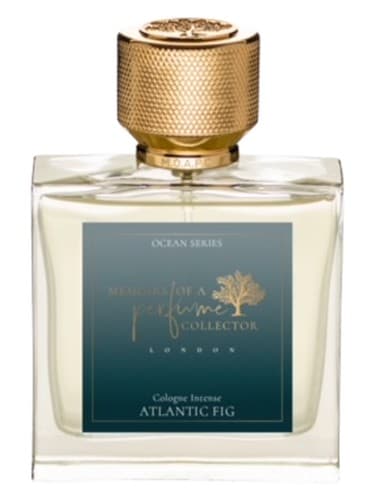 Atlantic Fig - انجیر اوشن اطلس