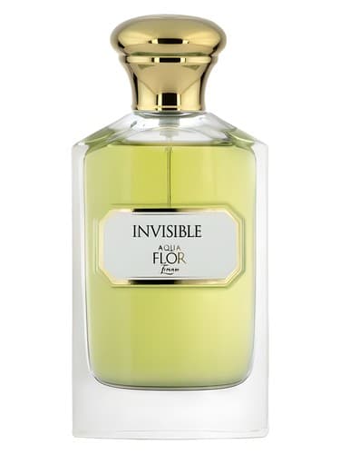 Invisible