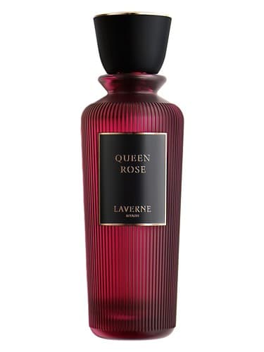 Queen Rose - کویین رز