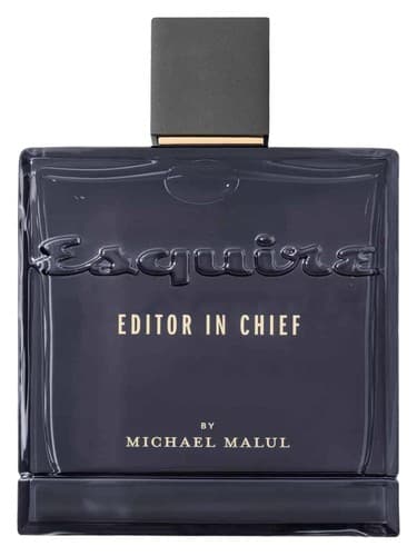 Editor in Chief - سردبیر