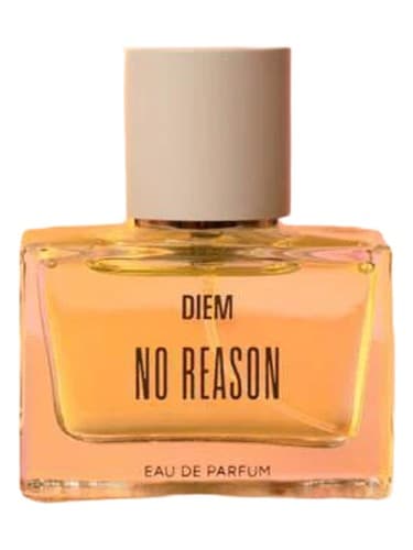 No Reason - بدون دلیل