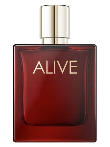 Alive Absolu - زنده ابسولو